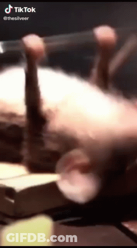 A Close Up Of A Person Holding A Knife On A Table With A Blurred Background . GIF