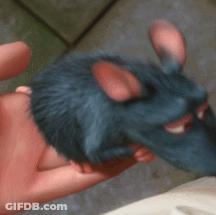 A Close Up Of A Person Holding A Small Blue Rat GIF