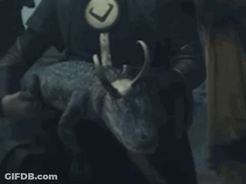 A Close Up Of A Person Holding A Snake With Horns . GIF