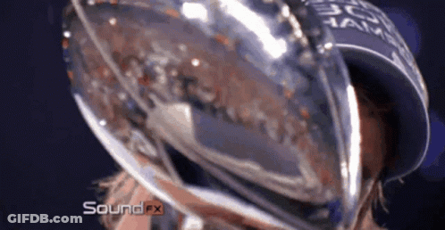 A Close Up Of A Person Holding A Trophy That Says Sound Fx On It GIF