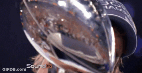 A Close Up Of A Person Holding A Trophy That Says Sound Fx On It GIF