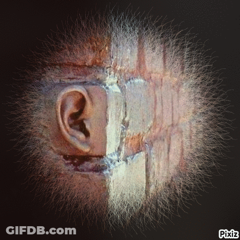 A Close Up Of A Person 'S Ear And Mouth With Pixiz Written Below It GIF
