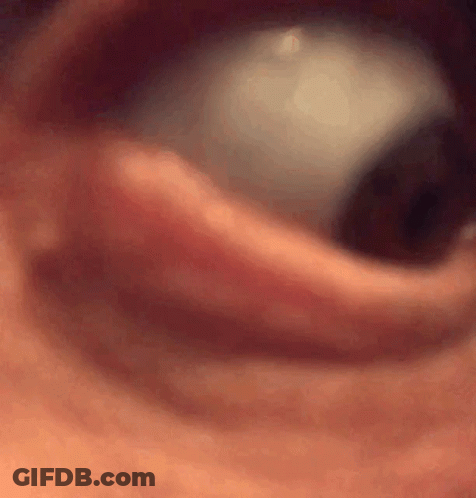 A Close Up Of A Person 'S Eye Showing The Pupil GIF