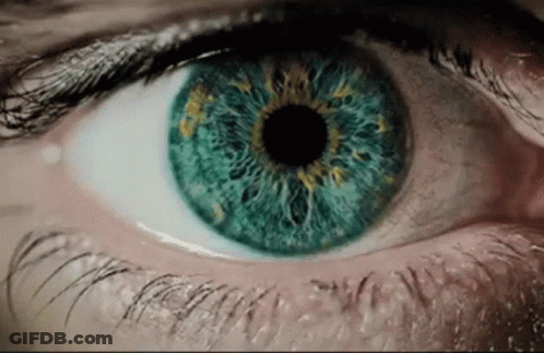 A Close Up Of A Person 'S Eye With A Blue Iris GIF