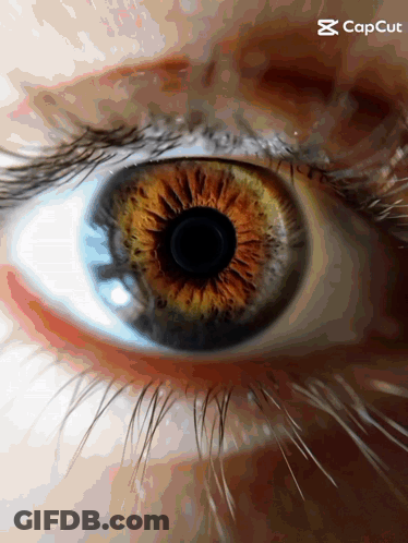 A Close Up Of A Person 'S Eye With A Caption That Says " Capcut " GIF
