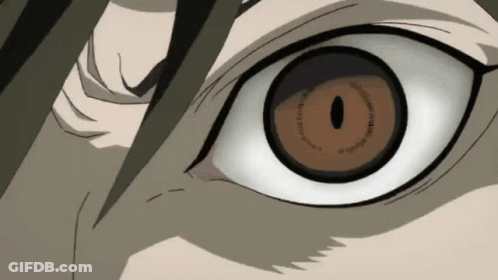 A Close Up Of A Person 'S Eye With A Circle Around The Pupil GIF