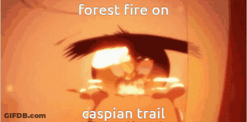 A Close Up Of A Person 'S Eye With The Words Forest Fire On Caspian Trail GIF