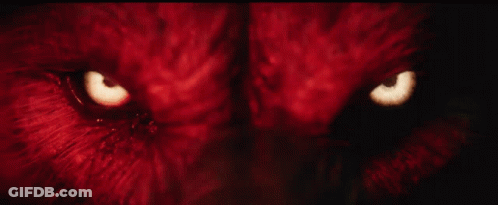 A Close Up Of A Person 'S Eyes That Are Glowing Brightly GIF