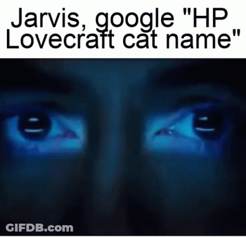 A Close Up Of A Person 'S Eyes With The Words Jarvis , Google Hp Lovecraft Cat Name Written Above Them GIF