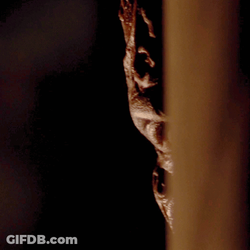A Close Up Of A Person 'S Face Behind A Wooden Wall GIF