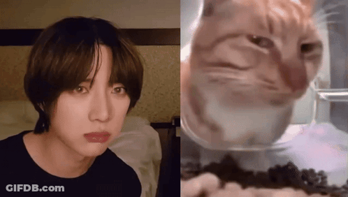 A Close Up Of A Person 'S Face Next To A Picture Of A Cat . GIF