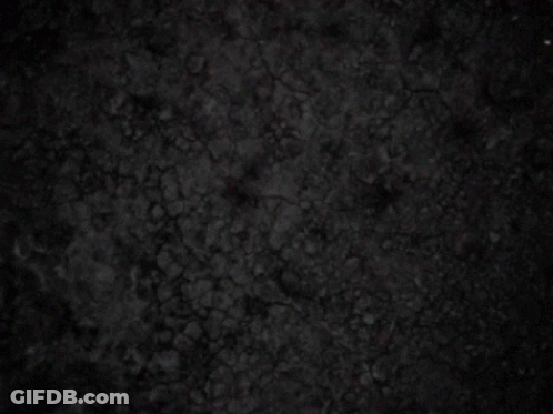 A Close Up Of A Person 'S Face With A Blurry Background GIF
