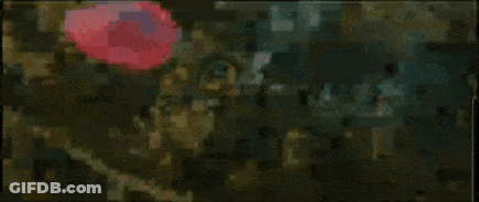 A Close Up Of A Person 'S Face With A Butterfly On It 'S Head . GIF