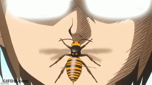 A Close Up Of A Person 'S Face With A Wasp On It . GIF