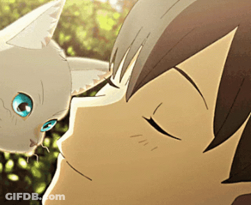 A Close Up Of A Person 'S Face With A White Cat On It GIF