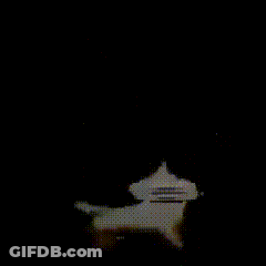 A Close Up Of A Person 'S Face With The Words Boing Boing Written Below It GIF