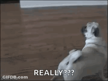 A Close Up Of A Person 'S Face With The Words `` Really '' Written In The Corner . GIF