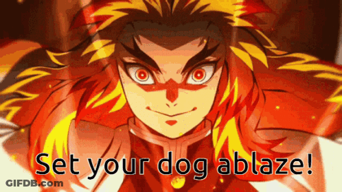 A Close Up Of A Person 'S Face With The Words Set Your Dog Ablaze . GIF