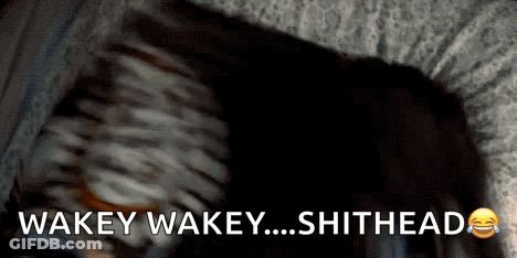 A Close Up Of A Person 'S Face With The Words Wakey Wakey Shithead Below It GIF