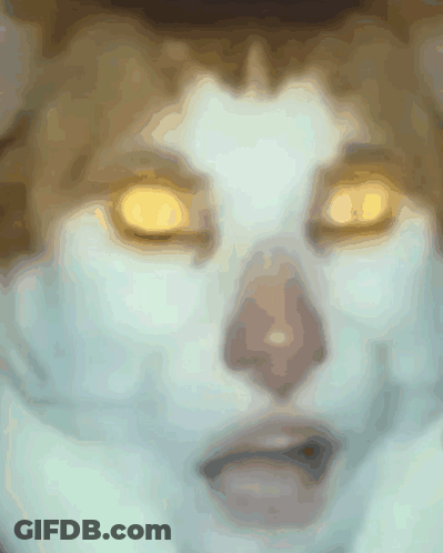 A Close Up Of A Person 'S Face With Yellow Eyes GIF