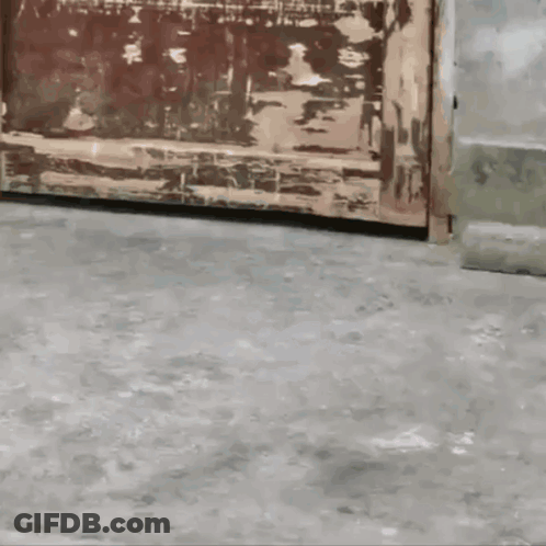 A Close Up Of A Person 'S Feet On A Concrete Floor GIF