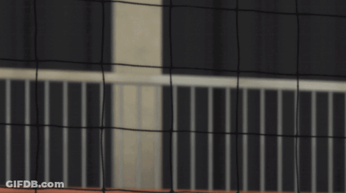 A Close Up Of A Person 'S Fist Against A Net GIF