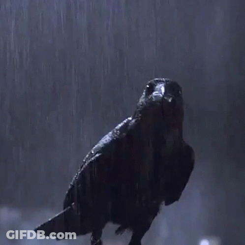 A Close Up Of A Person 'S Foot Standing On A Table In The Dark . GIF