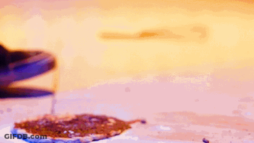 A Close Up Of A Person 'S Foot Wearing A Pair Of Nike Sneakers GIF
