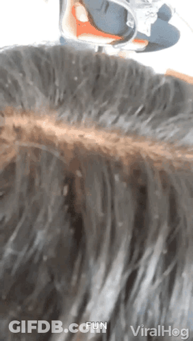 A Close Up Of A Person 'S Hair With The Words Fun In The Corner GIF
