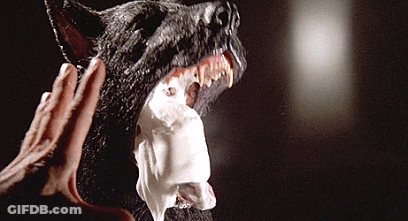 A Close Up Of A Person 'S Hand Touching A Black Dog GIF