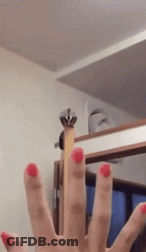 A Close Up Of A Person 'S Hand With Red Nail Polish On Their Nails GIF
