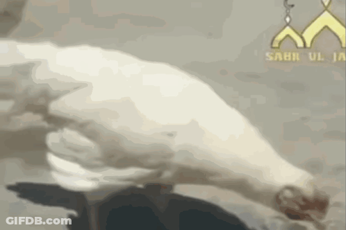 A Close Up Of A Person 'S Hand With The Words Sabir Ul Ja Written On The Bottom GIF