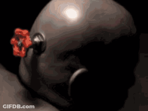 A Close Up Of A Person 'S Head With A Flower In It GIF