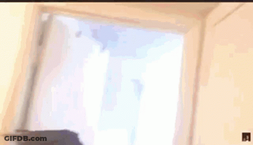 A Close Up Of A Person 'S Head With A Hat On . GIF