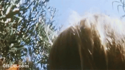 A Close Up Of A Person 'S Head With A Tree In The Background GIF