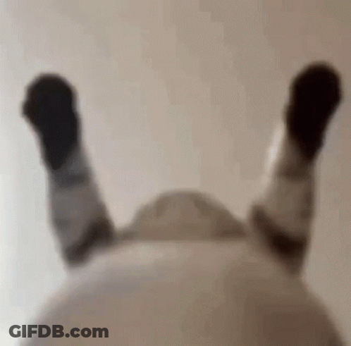 A Close Up Of A Person 'S Legs With Their Feet Up . GIF