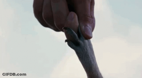 A Close Up Of A Person 'S Mouth With Their Eyes Closed GIF