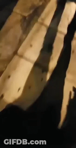 A Close Up Of A Person 'S Shadow On A Wooden Floor . GIF