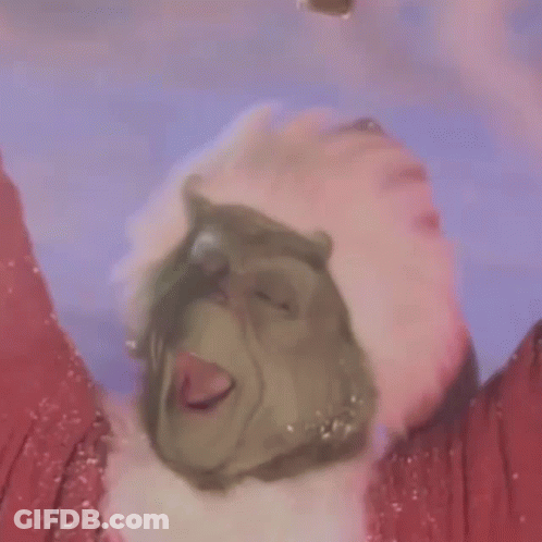 A Close Up Of A Person Wearing A Grinch Mask And A Santa Hat In The Snow . GIF