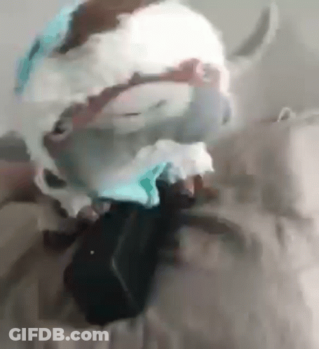 A Close Up Of A Person Wearing A Mask On A Bed . GIF