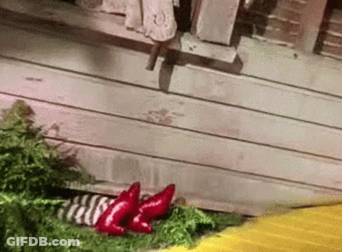 A Close Up Of A Person Wearing A Pair Of Red Socks . GIF