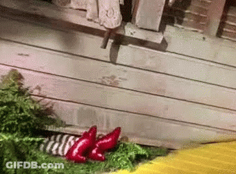 A Close Up Of A Person Wearing A Pair Of Red Socks . GIF