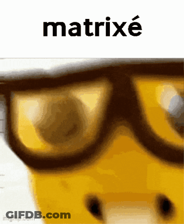 A Close Up Of A Person Wearing Glasses With The Word Matrixe On Top GIF