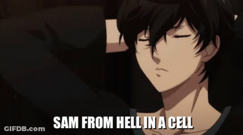 A Close Up Of A Person With The Words " Sam From Hell In A Cell " Above Them GIF