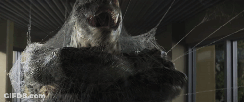 A Close Up Of A Person Wrapped In Spider Webs GIF
