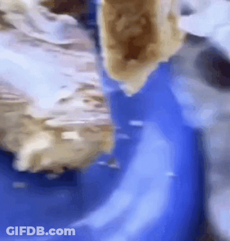 A Close Up Of A Piece Of Food On A Blue Table Cloth GIF