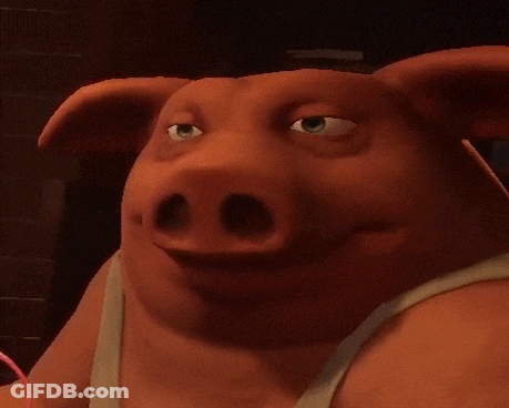 A Close Up Of A Pig 'S Face With His Eyes Closed GIF