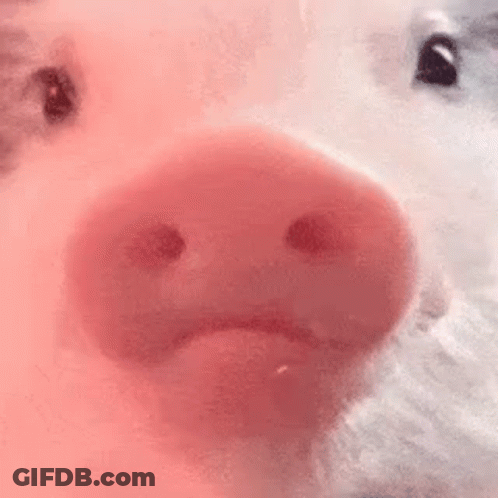 A Close Up Of A Pink Pig 'S Nose With A Sad Face On It . GIF