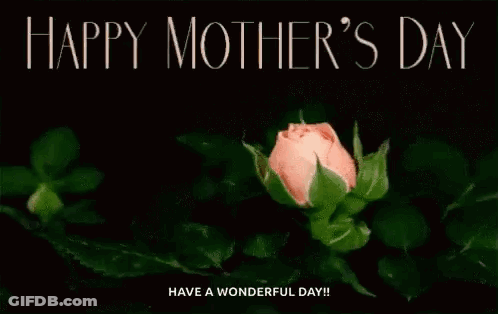 A Close Up Of A Pink Rose With The Words `` Happy Mother 'S Day Have A Wonderful Day '' Written Above It . GIF