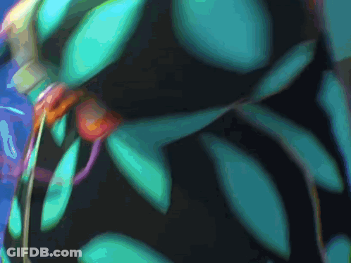 A Close Up Of A Plant With Green Leaves GIF